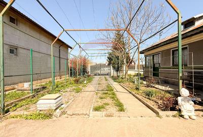 2 CASE + TEREN GENEROS 1592 MP | Langa Codrii Vlasiei | Peris - 8