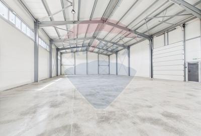 Spațiu industrial de 600mp de închiriat în zona Traian - 20