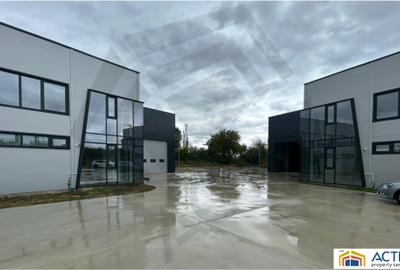 Hale de vanzare Chitila Oxigenului - 6
