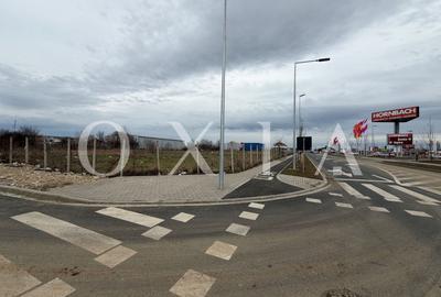 OX698 Oportunitate Investitie , 8036 MP, Buziasului-Hornbach. - 3