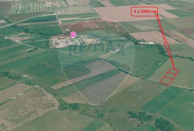 Teren 3000mp de vânzare în Râșnov / Pănicel - 15