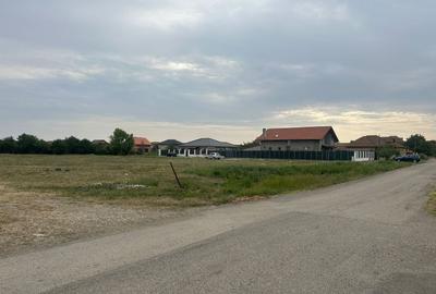 Ocazie! Teren 6.000 mp cu toate utilitățile – Săcălaz, zonă excelentă - 2
