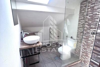 Apartament 1 camera,mansarda, de inchiriat, zona Dambovita,Timisoara - 8