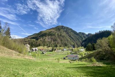 Teren panoramic însorit, utilități, panta mica si pădure, turism sau vacanță - 4