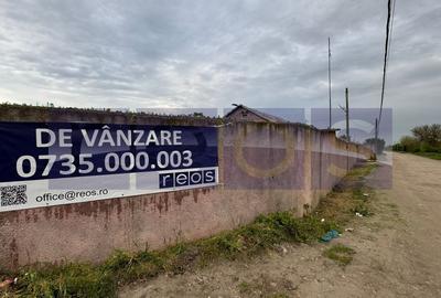 VANZARE TEREN 16.000 MP | 2 LOTURI | CONSTRUCTII EXISTENTE | ROSIORI DE VEDE - 8