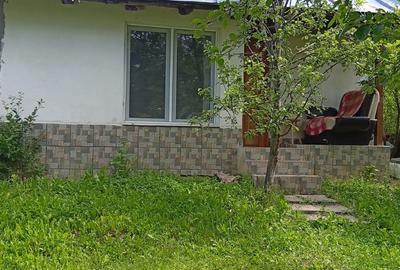 Proprietate de vanzare in Golești - 10800 mp teren și două case - 1