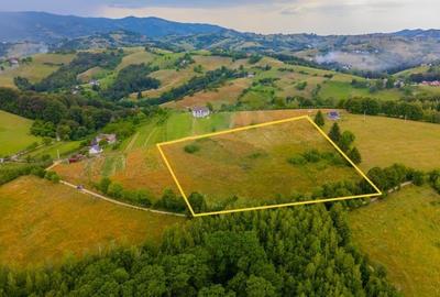 Teren Construcții intravilan de 11600 mp, în Poiana Mărului