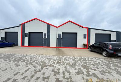 Hala 500 mp de inchiriat in Livada la 5 min de Aeroportul Oradea - 1