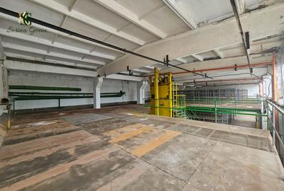 Spațiu industrial versatil, Platforma Upruc, Făgăraș - 7