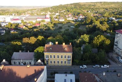 VÂNZARE - SPAȚIU COMERCIAL, CLĂDIRE INTERBELICĂ, CENTRU SIRET - 2