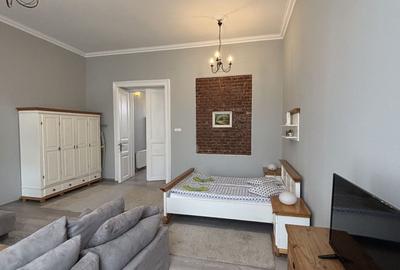 Apartament cu o camera în clădire istorică ,zona Maria - 25