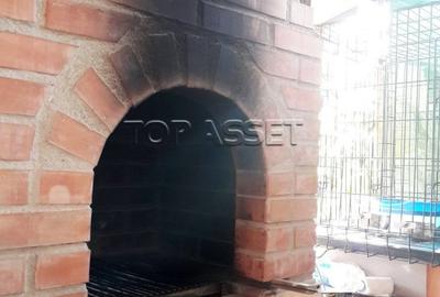 Chiajna - parcul Viitorului - 24