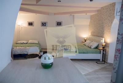 Studio pretabil regim hotelier in zona Centrala Sibiu - 8