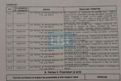 Spatiu industrial de vanzare, 8120 mp, Neamt - 6
