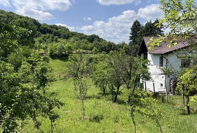 Teren constructie casa Stefanesti | 1652 mp | Langa Padure