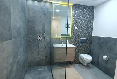 Inchiriere Apartament 2 Camere Iancu Nicolae - 31