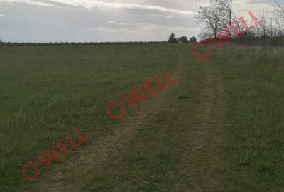 Teren intravilan de vânzare în Moacșa (Eresteghin)! - 5