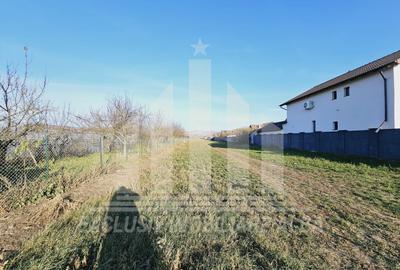 Teren intravilan | 4000 mp | 17 ml deschidere | Micesti - 3