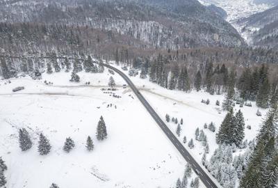 Teren premium pentru dezvoltare de lux – Drumul Poienii, Brasov - 35
