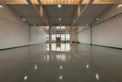Showroom zona Carrefour Felicia Iasi, de la 107mp la 2000mp, Kaufland - 2