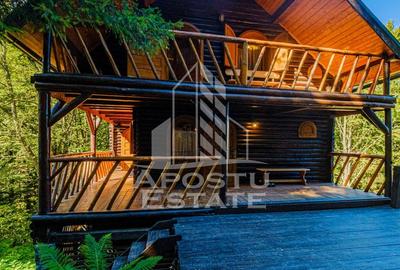Pensiune, casa de vacanta, 6 camere, statiunea Rausor din Hunedoara - 3