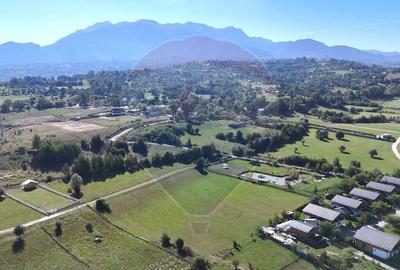 Teren Construcții intravilan de 6648 mp, în Tohanu Nou