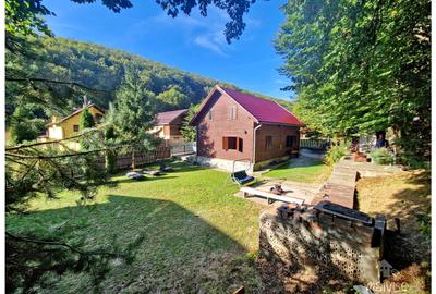 Casa de vacanta!!! Valea Bozom- Apata - 1