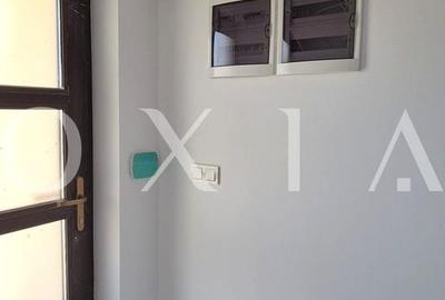 AX1255 Dumbravita, Casa Idividuala, Toate Utilitatile - 15