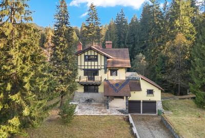 Proprietate cu potențial uriaș - Timișul de Sus - Brașov - 1