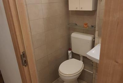 VANZARE APARTAMENT 2 CAMERE-SALA PALATULUI -STR ION CAMPINEANU - 12
