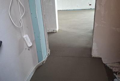 DUPLEX , MOSNITA NOUA, 3 CAMERE - 2
