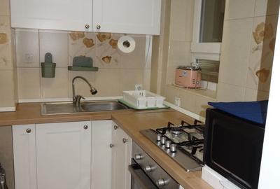 Apartament 2 camere nou renovat, P-ta Delfinului - 13