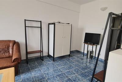 Cazare muncitori garsoniere/apartamente la curte in Vladimirescu - 14