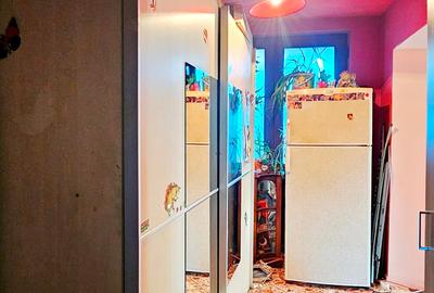 Casa individuala P+M,casa batraneasca locuibila si 805mp teren,Savinesti - 14