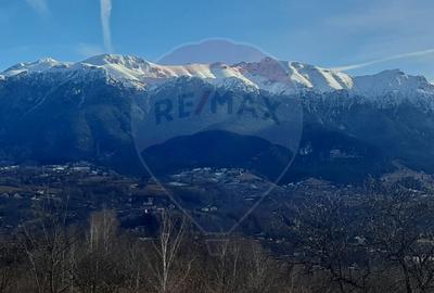 Teren 10,279 mp Bran- Predelut / Strada Pe Tarina nr. 70A - 6