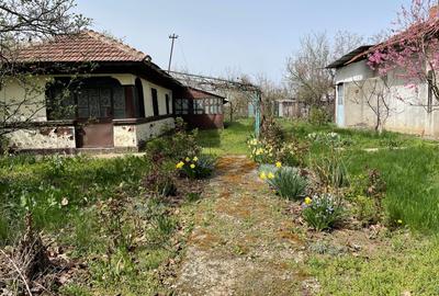 Vand 1644mp teren intravilan in sat Pasarea, comuna Frumusani, judetul Calarasi - 1