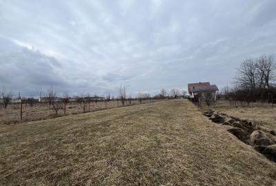 Teren Intravilan 2020 MP | Zonă Linistita | Radauti - 6