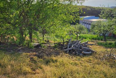 Teren Intravilan de Vânzare în Cartierul Mănăștur – Oportunitate Ideală pentru D - 1