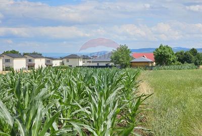 Casă / Vilă, teren 1700mp,  în Lisaura-Ipotești, Suceava - 32
