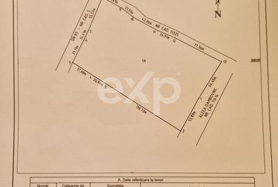 ALBOTA | Teren intravilan 21.494 mp | Deschidere DN5 – 107 ml | Utilități - 1