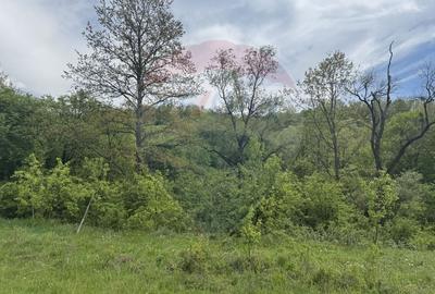Proprietate OFF-GRID 5,76 Ha. Casa tradiționala lemn. Limită Cluj - 9