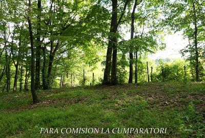 ZONA SUPERBA - TERENURI DE VANZARE - 27