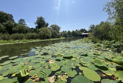 Teren+CASA 8000mp Deschidere 36ml Lacul Snagov - 3