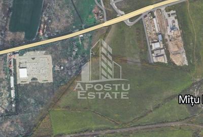 Parcela de teren 7781 mp, ideala investitie, zona Mehala. - 1