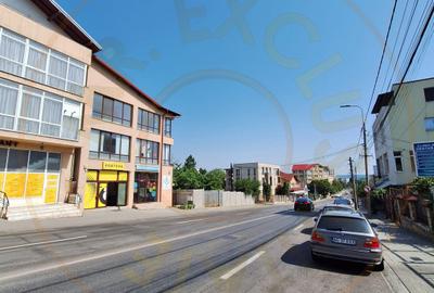 Spatiu Comercial Multifunctional Banat-CLASA A - 2