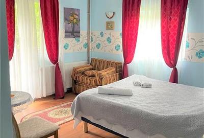 Arta si design in incantarea naturii, oportunitate rezidential/ turistic, Predea - 7