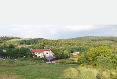 De vânzare teren intravilan Cluj, Feleacu, Valea Capriorii - 1