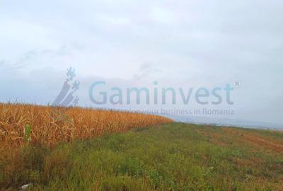 Teren intravilan de vanzare, la 1 minut de centura Osorhei, Alparea, Bihor - 4