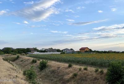 Tamasi, langa padure, 12.824 mp, deschidere 45 ml, teren cu potential! - 1