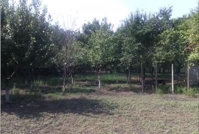 Casă + teren 2188 mp aproape de Lacul Gălățui, Alexandru Odobescu, Călărași - 4